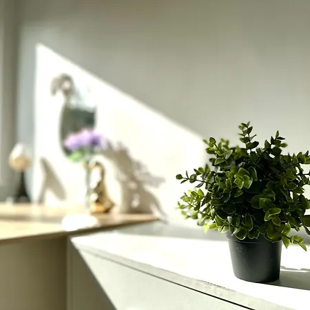 Mmrent Bubble גדנסק