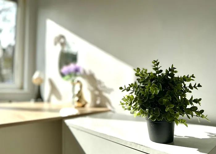 Mmrent Bubble Gdańsk